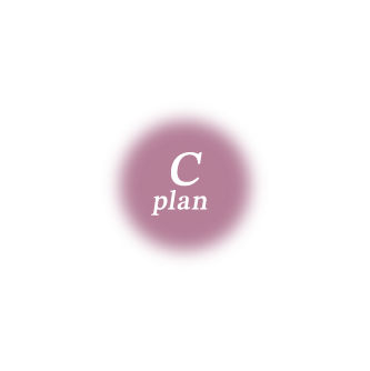 PLAN C