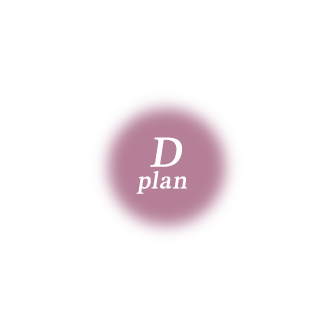 PLAN D